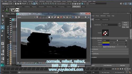 青草视频中文字幕,探寻自然之美，感受生命律动