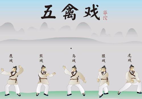 五禽戏教学视频完整版,完整版动作解析与养生秘诀