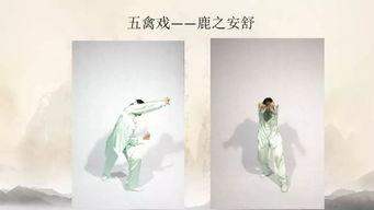 五禽戏教学视频完整版,完整版动作解析与养生秘诀